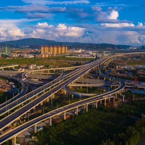 政策要点：2025澳门今晚必开一肖详述——自贸协定升级 vs 产业链回流壁垒