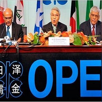 白泽价格走势最新动态分析