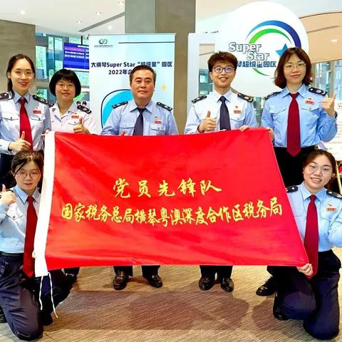 政策概要：新澳门精准正最精准详述——数字服务税