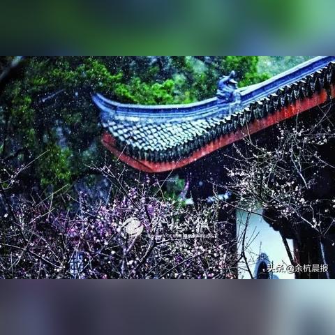 余杭下雪情况最新公告及解析