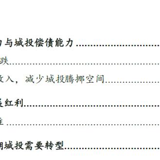 政策要点：2025精准资料免费提供最新解析——地方债置换 vs 城投信仰弱化