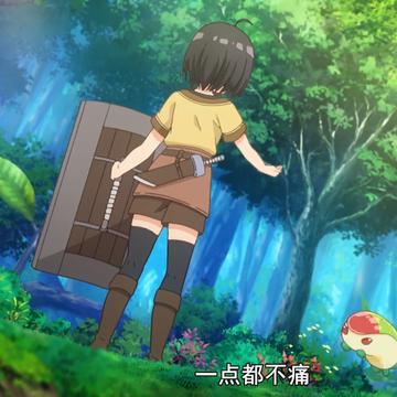 盾娘静态壁纸，最新版下载与安装全攻略