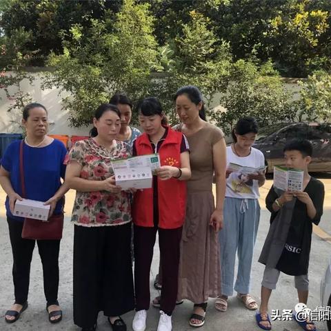 信阳垃圾倾倒事件视频最新曝光，事件进展与影响全解析