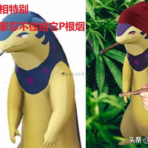 宝可梦最新卡28周年庆典，回顾与前瞻，珍藏每一刻的神奇时光