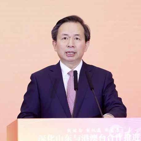 政策要点：新澳门精准免费大全详述——关税壁垒