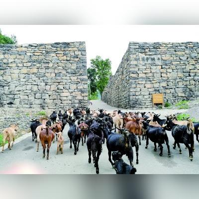 最新光明石头出售信息大全，全方位解读石头市场趋势