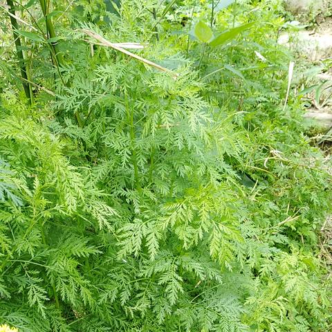 最新消息，走广西回浙江路线遭遇堵车状况分析