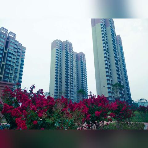 伊滨区吉庆嘉苑规划最新动态解析