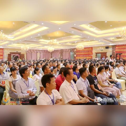 博白最新售房信息网站查询，全面解析房地产市场动态与购房指南