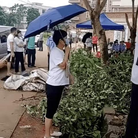 阿红村网红路修路工程最新消息，揭秘乡村道路建设的进展与挑战