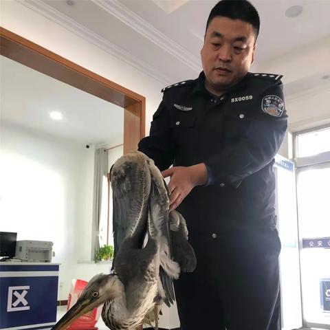 真独简贵
