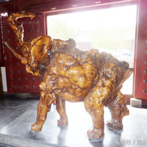 最新大象版小动物视频全集免费观看指南