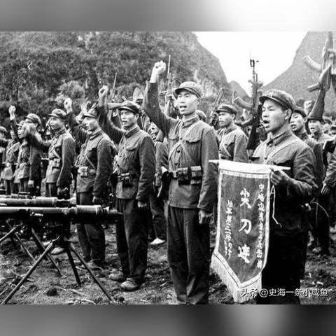 中国重炮营视频最新版在线观看，深度解析军事力量与实战技能
