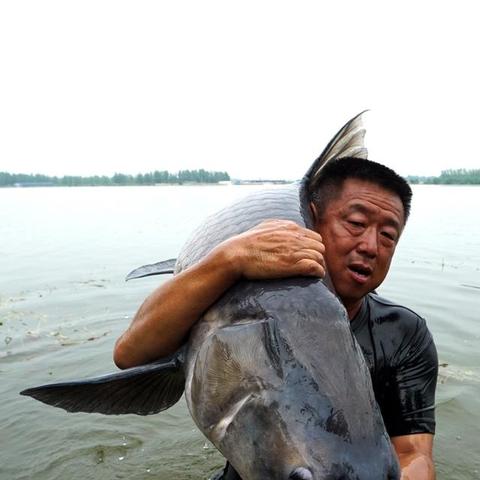 息县意河钓鱼状况最新更新