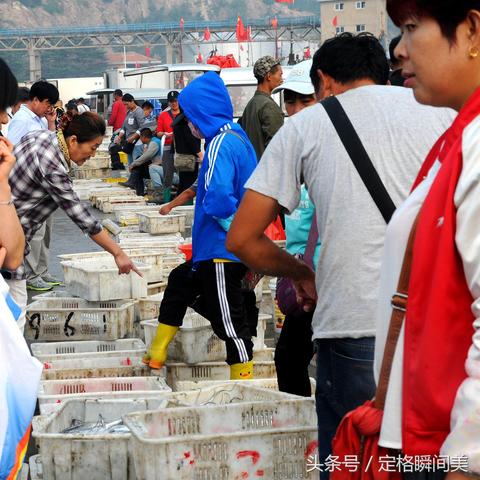 股票捕捞季节最新分析，洞悉市场趋势，把握投资机会