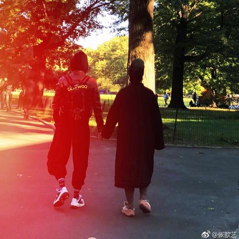 牙疼事件深度解析最新消息视频汇集，全方位了解牙疼事件内幕