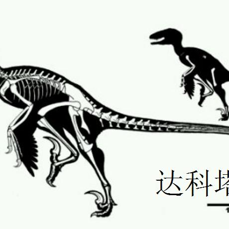 老虎大哥最新动漫，热血连载、独家解读与精彩预告