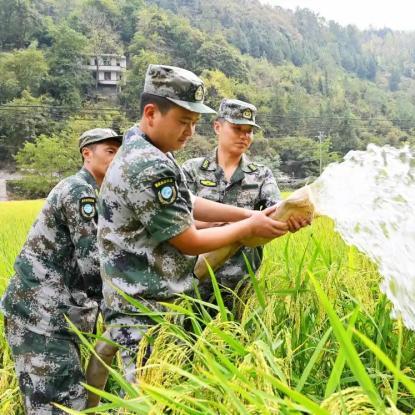 酉阳兴隆租房最新价格表及市场分析