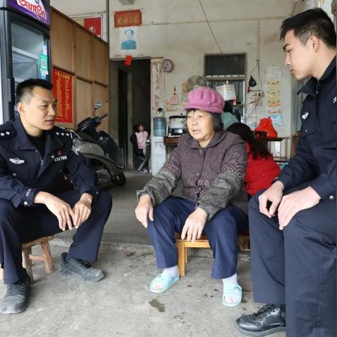 大塘村拆铁棚行动全面纪实，最新视频与详细解读