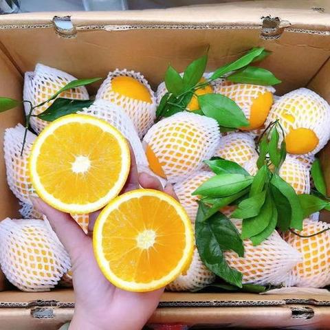 天各一方