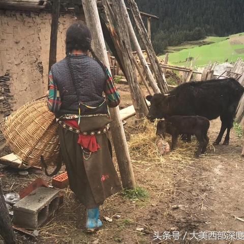 田地围栏造价标准最新文件解读与全面分析