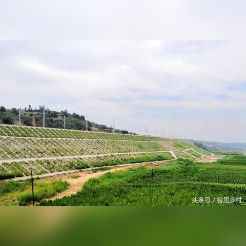 最新汾阳城店铺转让信息一览，把握商机从这里开始！