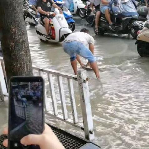 南宁鲶鱼最新出售信息，价格动态与市场分析