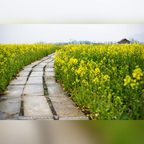 杭州冬季场地开放时间的最新动态