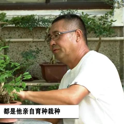 崇明二手房新河镇出售最新信息全览