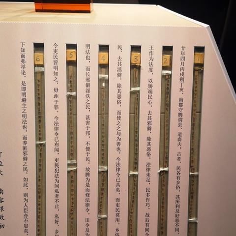 湖北木材厂突发火灾事故全面解析，最新消息与应对举措