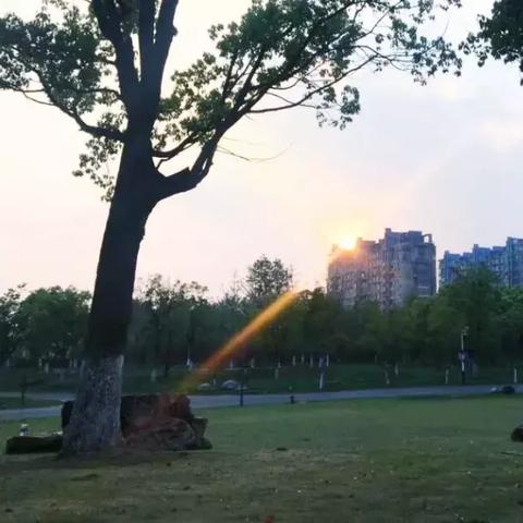 尚好音响最新产品全面解析，引领未来音频体验新潮流