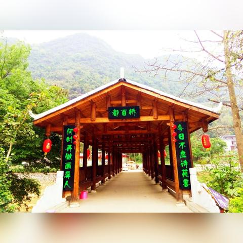 屯里附近旅馆最新价格表概览