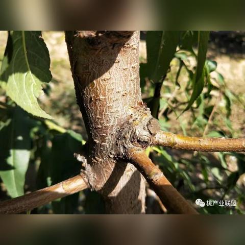 运城小区充电桩最新动态，全面覆盖，绿色出行更便捷