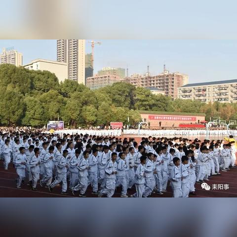 耒阳学校正源食堂最新通知详解