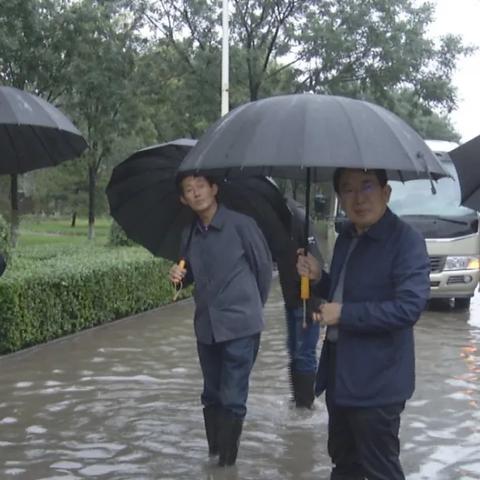 鸟吏鼈官