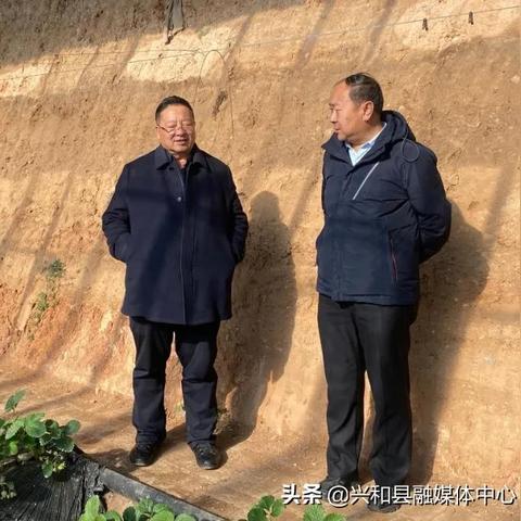 紫色蛙声