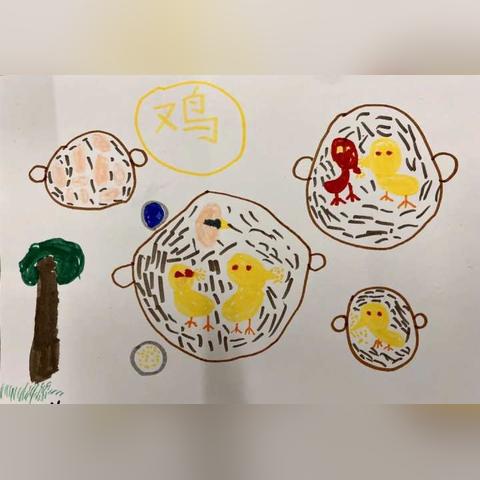 芦丁鸡孵出全过程视频指南，最新全集分享