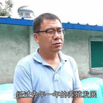 伤弓之鸟