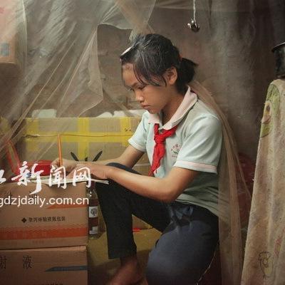 徐闻港车祸最新事件新闻报道