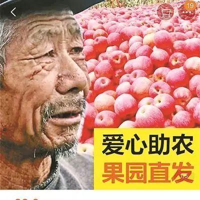 淘宝骗商家最新骗局揭秘，防范指南与案例分析