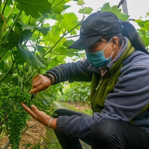 谷雨时节新事件全解析，深度探讨自然与人文的交融