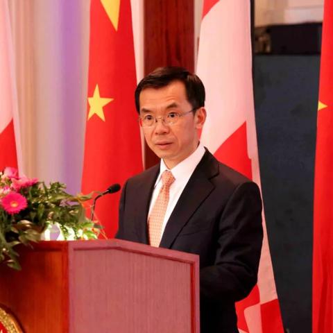 俄罗斯外交风云，大使召回最新消息深度解析