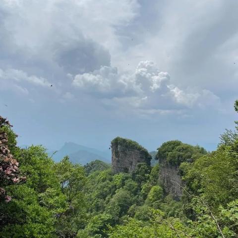 光雾山门票报价最新查询，一览众山小，旅游新动向