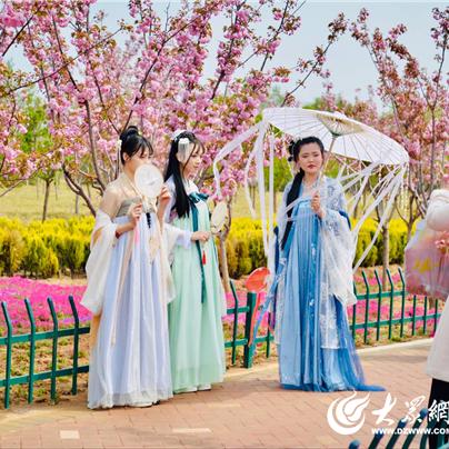 花湖路口事故视频大全最新，全面解析事故原因与防范知识